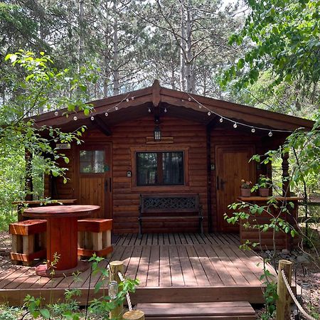 Fancy Fireflies Cabin Hayward Exterior foto
